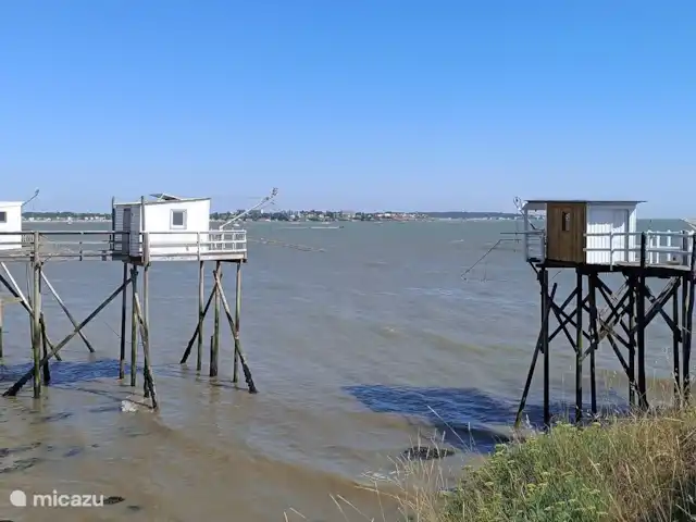 Colombard | France, Charente, Brossac - maison de vacances Belle Royan.