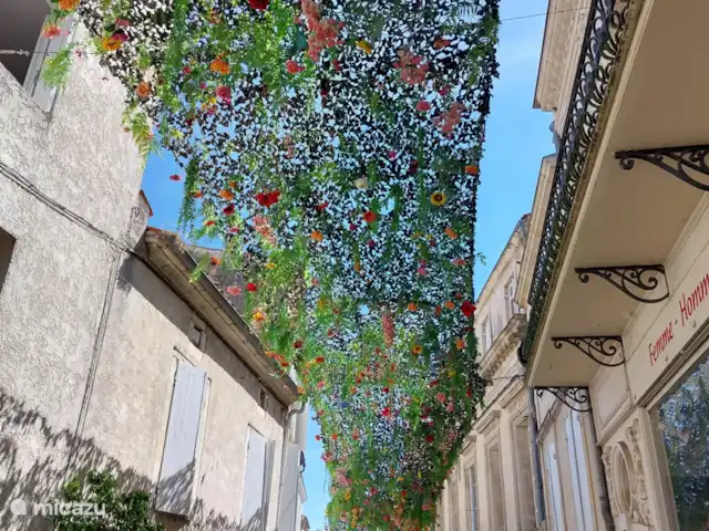 Colombard | France, Charente, Brossac - maison de vacances Jonzac