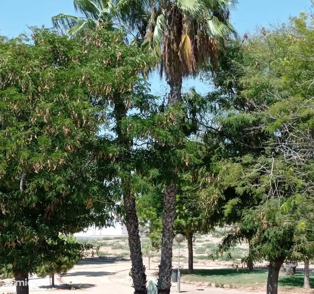 Casa la Ribera, foto 2