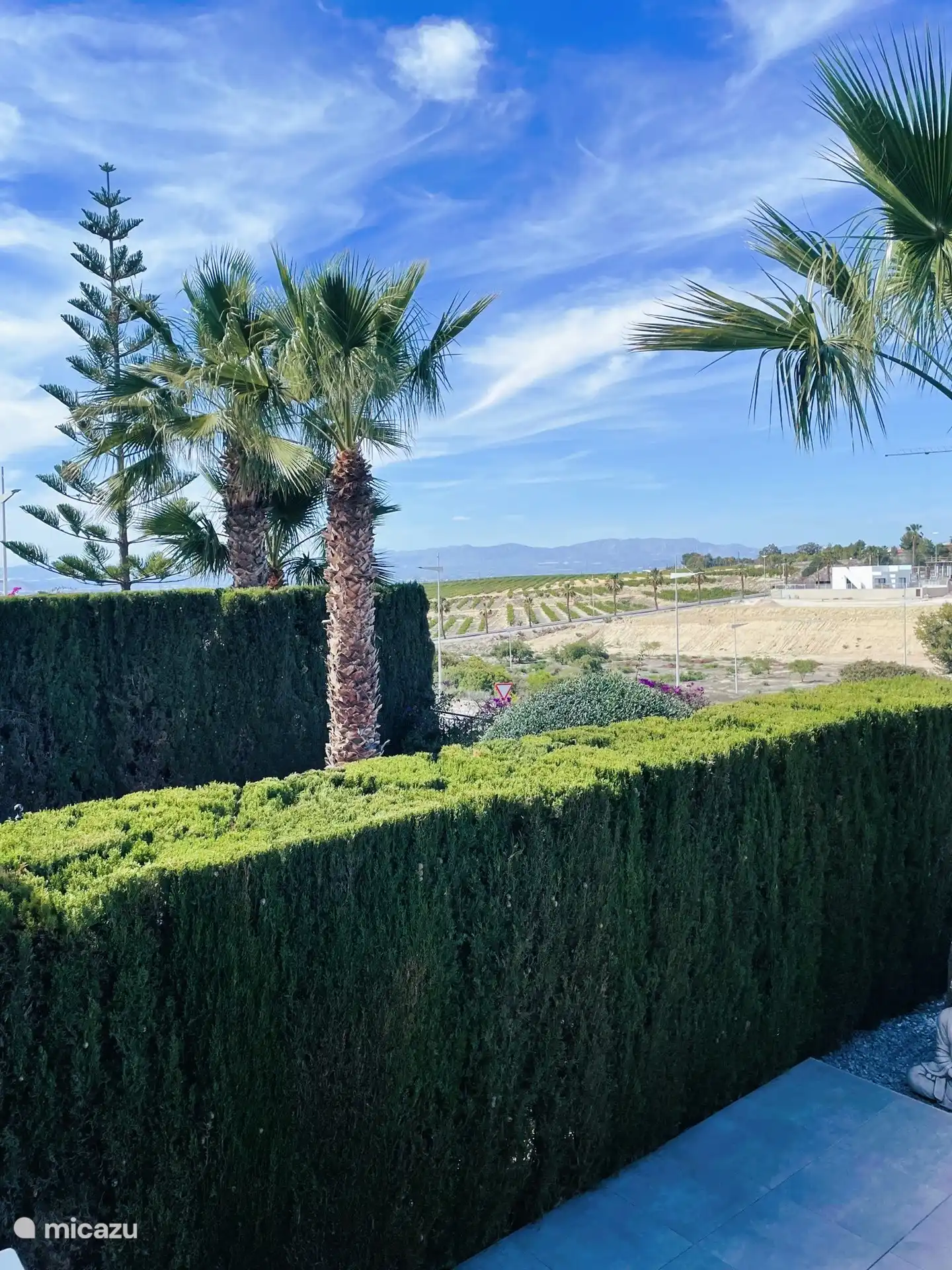 Blick von der Terrasse