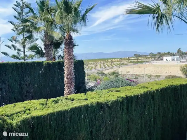 Casa Karma huren in Spanje, Costa Blanca, Algorfa - finca Uitzicht vanaf terras