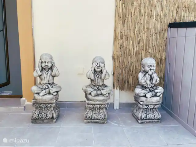 Casa Karma huren in Spanje, Costa Blanca, Algorfa - finca Horen, zien en zwijgen :-)