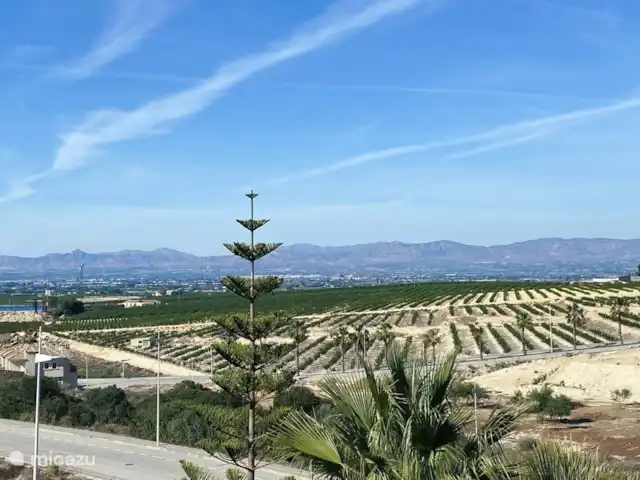 Casa Karma huren in Spanje, Costa Blanca, Algorfa - finca Uitzicht naar links vanaf het dakterras