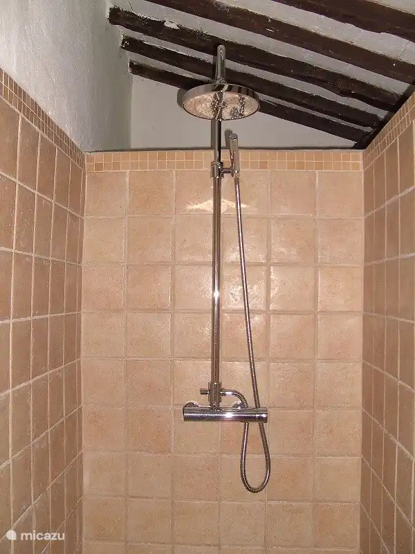 Diese begehbare Dusche hat einen Regenkopf