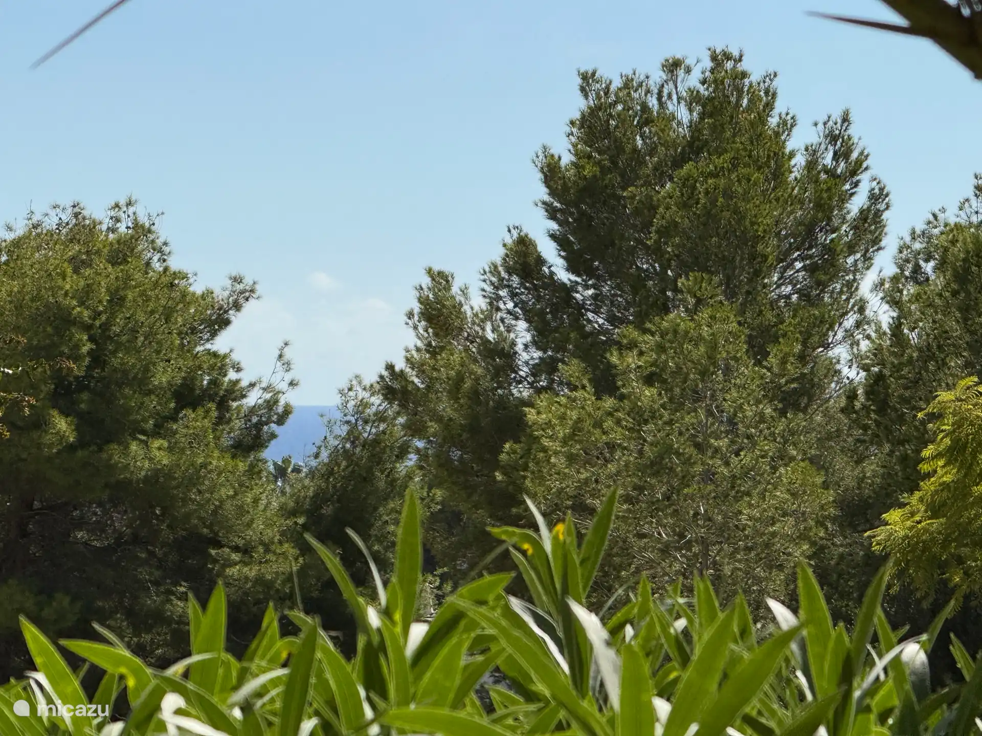 Ein Hinweis auf Meerblick aus dem Vorgarten :)