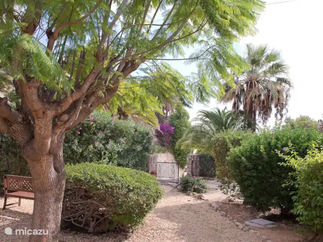 Villa Preciosa | Benissa | Moraira | Espagne, Costa Blanca, Benissa - villa Cour