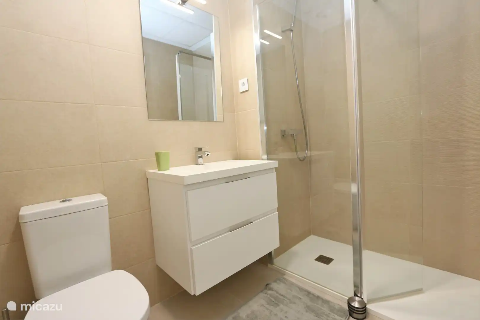 Eines der beiden Badezimmer mit geräumiger begehbarer Dusche, WC und Waschbecken.