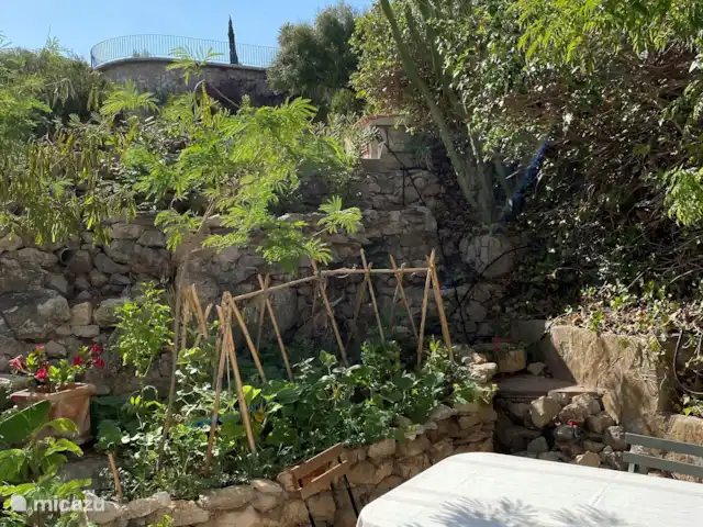 Casa de Luz | Espagne, Costa Blanca, Dénia - villa Terrasse intime avec un petit lit de fruits et légumes. Vous êtes cordialement invités à choisir si des fruits ou des légumes sont disponibles !