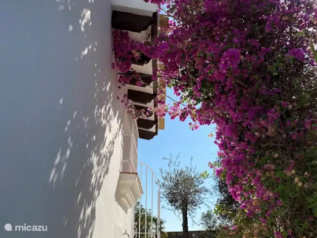 Casa de Luz | Espagne, Costa Blanca, Dénia - villa Le côté de la maison est vers le haut.
