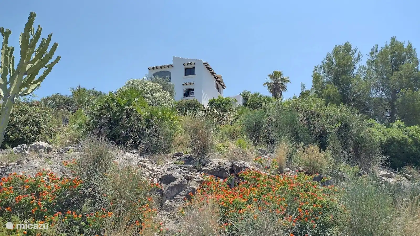 Blick aus dem Hinterhof