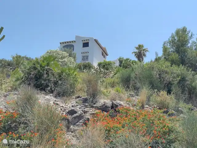 Casa de Luz | Espagne, Costa Blanca, Dénia - villa Vue de la cour arrière
