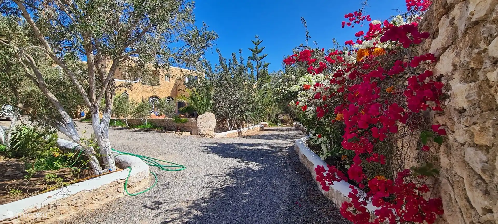 M birika in Morocco, Marrakech-Safi, Essaouira - Pension / Guesthouse / Private room