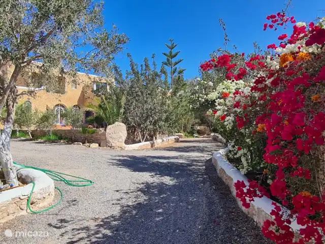 pension / guesthouse / privékamer huren in Marokko, Marrakech-Safi, Essaouira – M birika Onze gebloemde muren