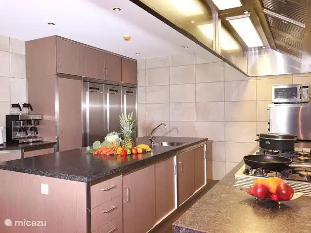 La vue sur la terre | Pays-Bas, Overijssel, Losser - maison de vacances Une cuisine traiteur professionnelle.