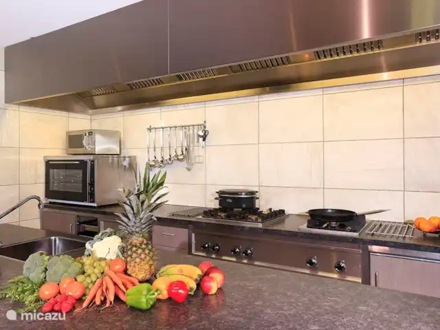 La vue sur la terre | Pays-Bas, Overijssel, Losser - maison de vacances Cuisine avec îlot de cuisson