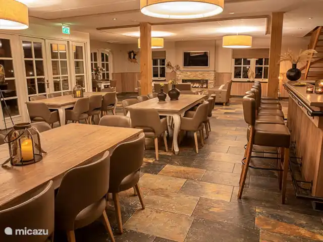 La vue sur la terre | Pays-Bas, Overijssel, Losser - maison de vacances Salon confortable avec cheminée et bar privé. Le téléviseur dispose d’une connexion HDMI