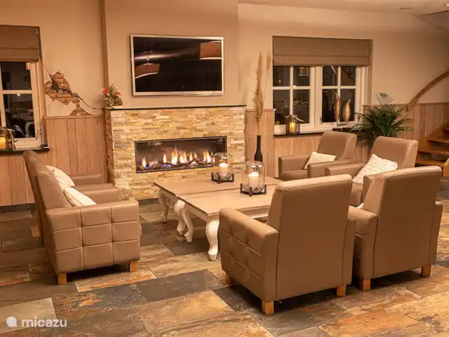 La vue sur la terre | Pays-Bas, Overijssel, Losser - maison de vacances Cheminée avec TV avec connexion HDMI