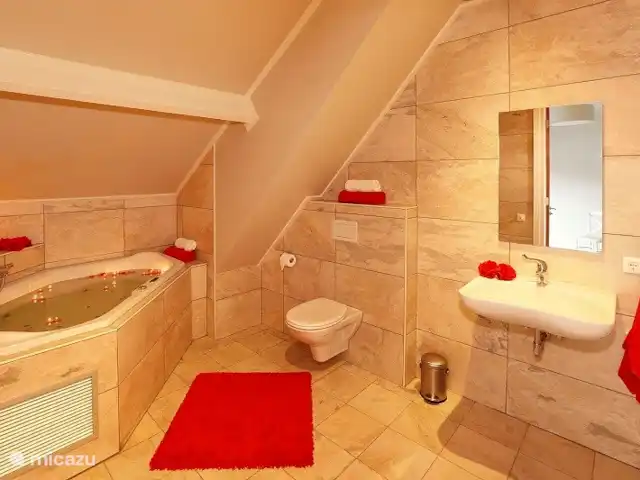 La vue sur la terre | Pays-Bas, Overijssel, Losser - maison de vacances Deux salles de bains ont leur propre jacuzzi.