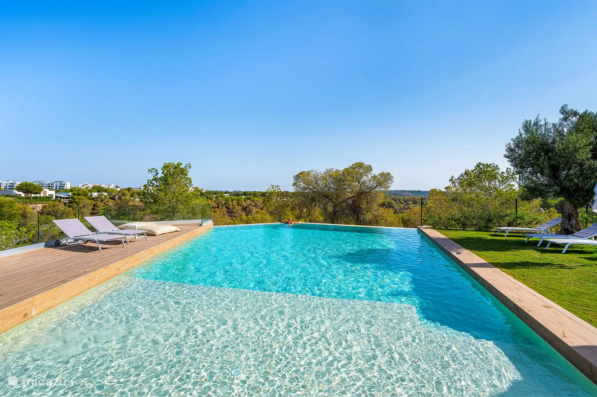 Infinity-Pool mit Blick auf den Wald