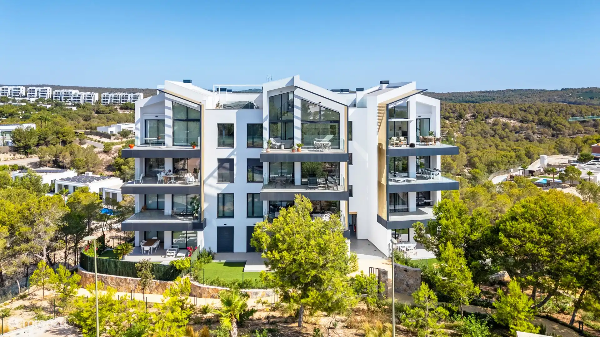 Mandarino-Gemeinschaft