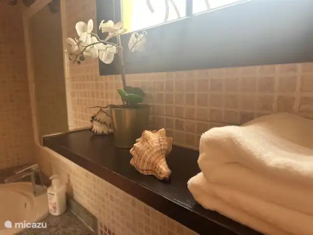 Bungalow Santa Fe | Espagne, Grande Canarie, Playa del Ingles - bungalow Détails