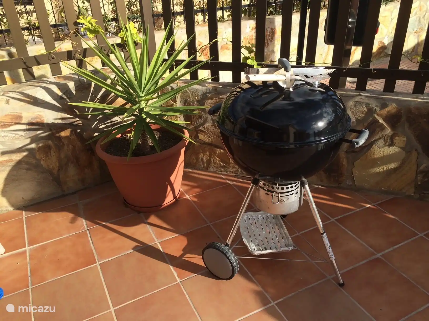 Barbacoa