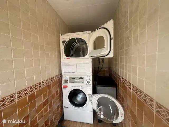 Bungalow Santa Fe | Espagne, Grande Canarie, Playa del Ingles - bungalow toilettes