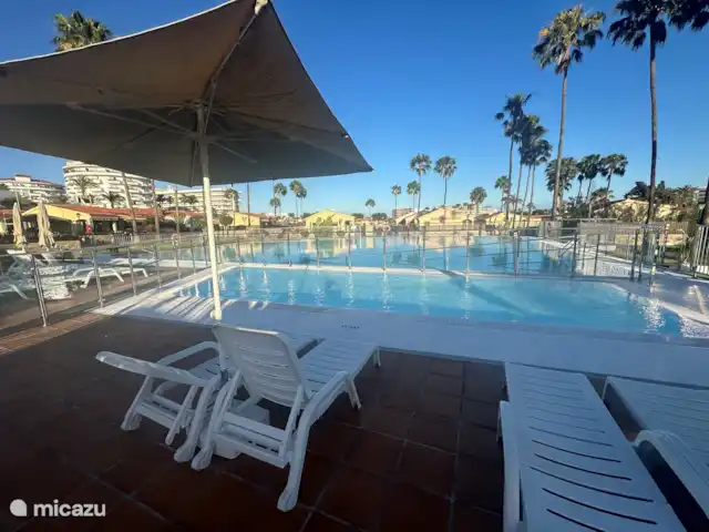 Bungalow Santa Fe | Espagne, Grande Canarie, Playa del Ingles - bungalow piscine