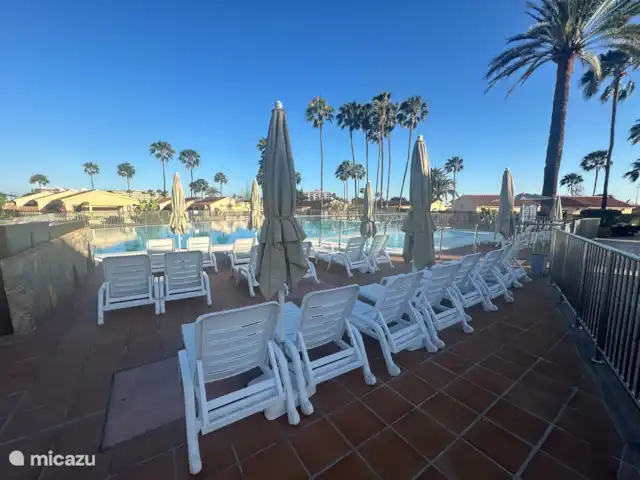 Bungalow Santa Fe | Espagne, Grande Canarie, Playa del Ingles - bungalow piscine