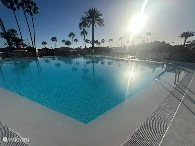 Bungalow Santa Fe | Espagne, Grande Canarie, Playa del Ingles - bungalow piscine