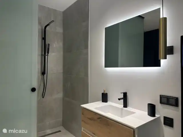 Location de Vacances Espagne, Costa Blanca, Rojales, villa - Villa spacieuse avec sauna et piscine salle de Bains