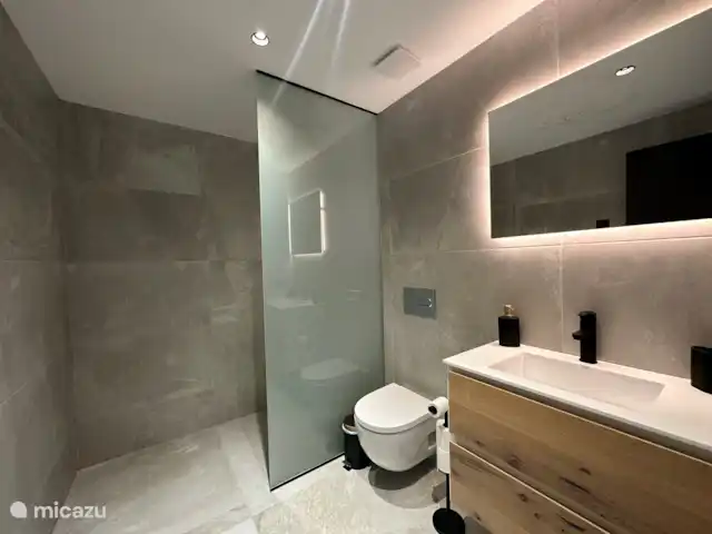 Location de Vacances Espagne, Costa Blanca, Rojales, villa - Villa spacieuse avec sauna et piscine salle de Bains