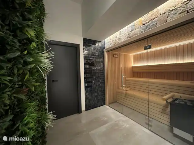 Location de Vacances Espagne, Costa Blanca, Rojales, villa - Villa spacieuse avec sauna et piscine Sauna privé