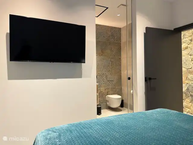Location de Vacances Espagne, Costa Blanca, Rojales, villa - Villa spacieuse avec sauna et piscine Salle de bain attenante