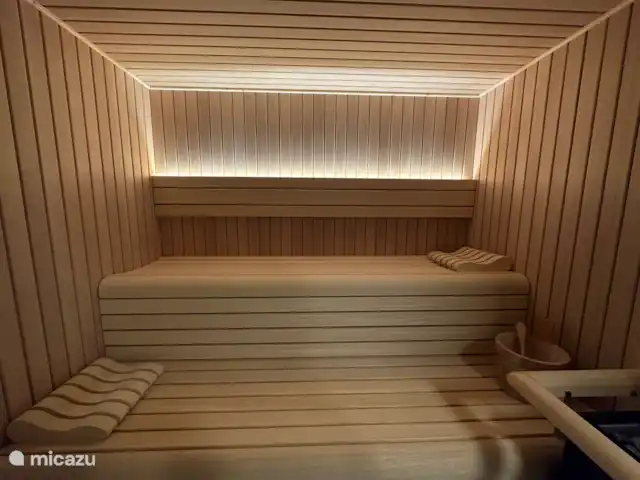 Location de Vacances Espagne, Costa Blanca, Rojales, villa - Villa spacieuse avec sauna et piscine Sauna privé