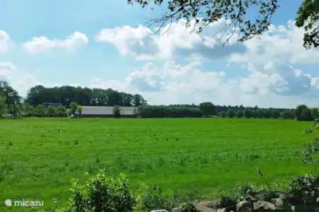 Environs Cabane CoCo