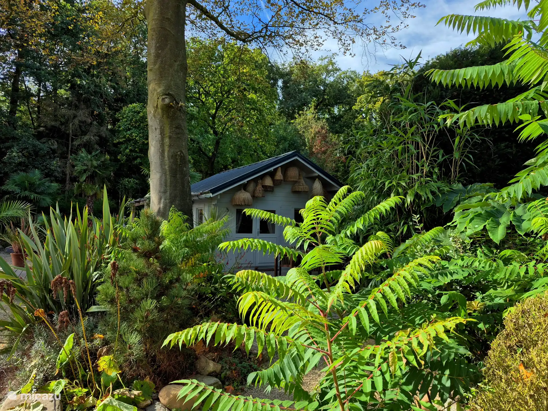 Ihr privater Garten ist eine tropische Oase, die das ganze Jahr über wunderschön ist, mit attraktiven Pflanzen und Palmen. Hier steht die Natur im Mittelpunkt
