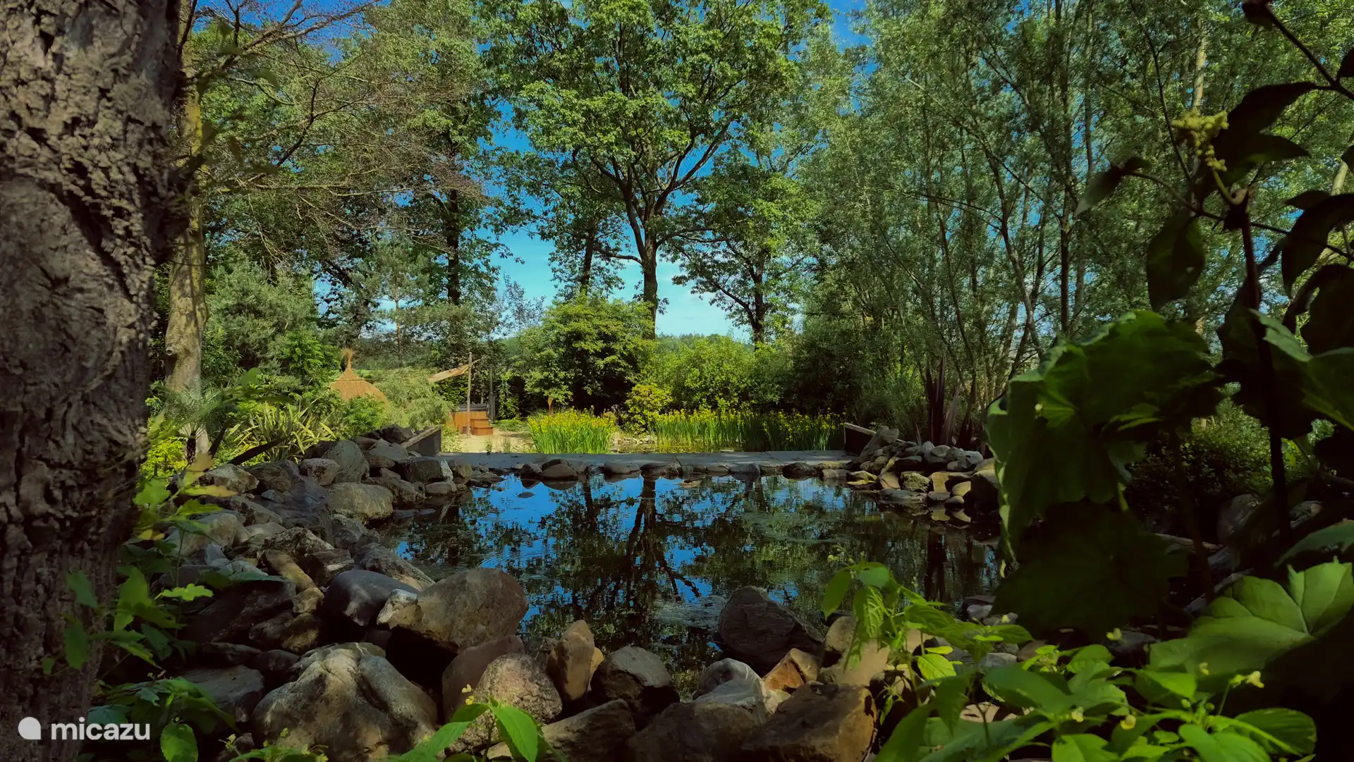 Piscine froide