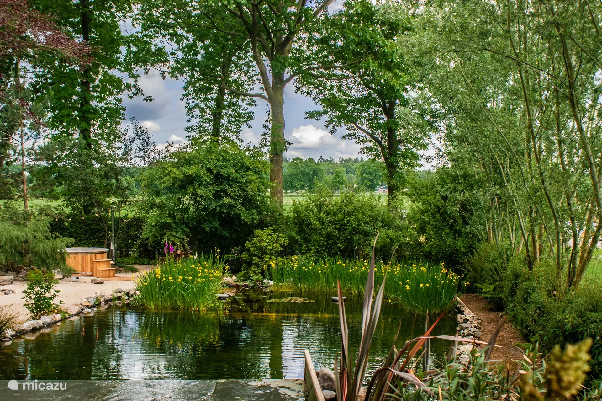 Natürlicher Schwimmteich mit Wasserfall und oben ein kaltes Tauchbecken mit Blick auf die Wiesen.