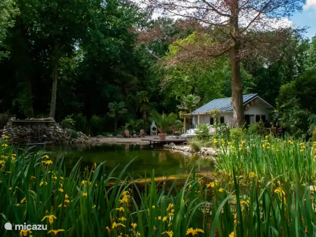 CoCo Cabin en Países Bajos, Utrecht, Woudenberg - casa pequeña  Cabaña CoCo • Bañera de hidromasaje • Playa • Cascada • Estanque natural para nadar • Palmeras