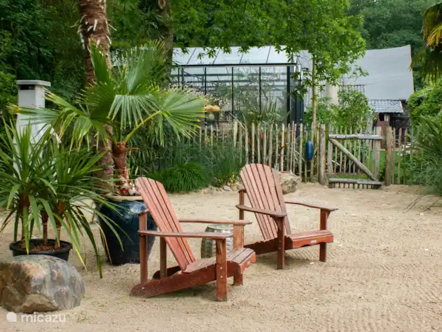 CoCo Cabin en Países Bajos, Utrecht, Woudenberg - casa pequeña  Sillas de playa entre las palmeras