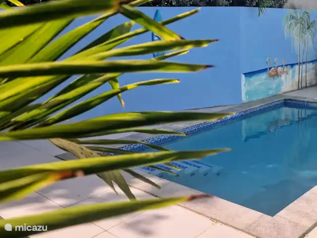 East Hill 23, con piscina privada en Curazao, Curazao Centro, Bottelier - casa vacacional Piscina