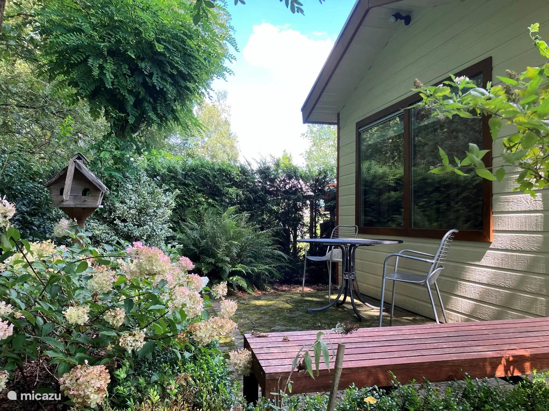 West-facing terrace to enjoy the last rays of sunshine and the squirrels in the trees