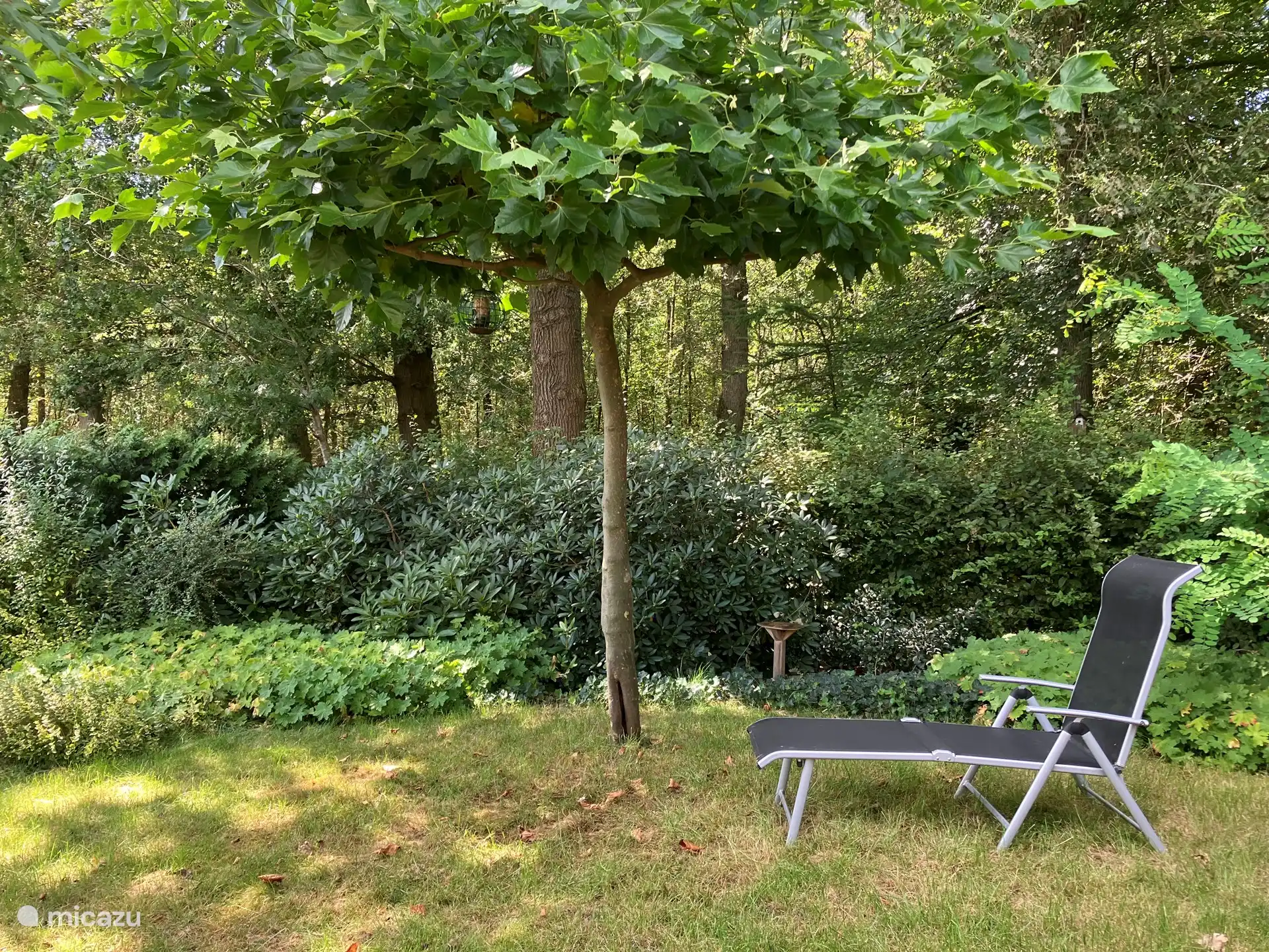 Under the plane tree you can relax with a book or for an afternoon nap