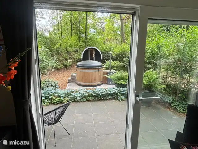 Chalet 4p en forêt avec sauna et bain à remous | Pays-Bas, Drenthe, Diever - chalet Vue sur le jardin depuis le salon