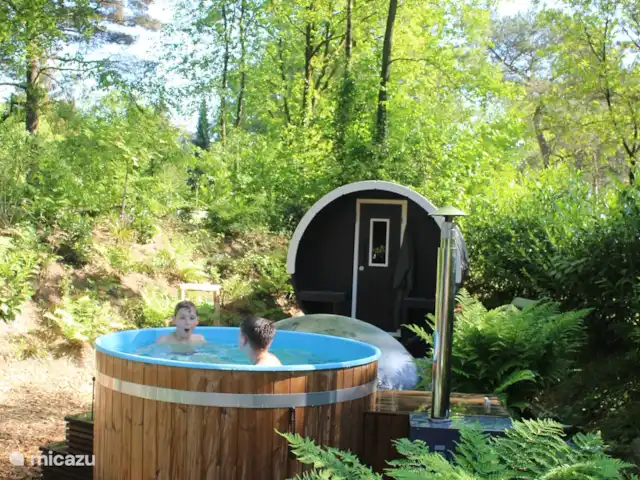 Chalet 4p en forêt avec sauna et bain à remous | Pays-Bas, Drenthe, Diever - chalet Blottissez-vous dans le bain à remous