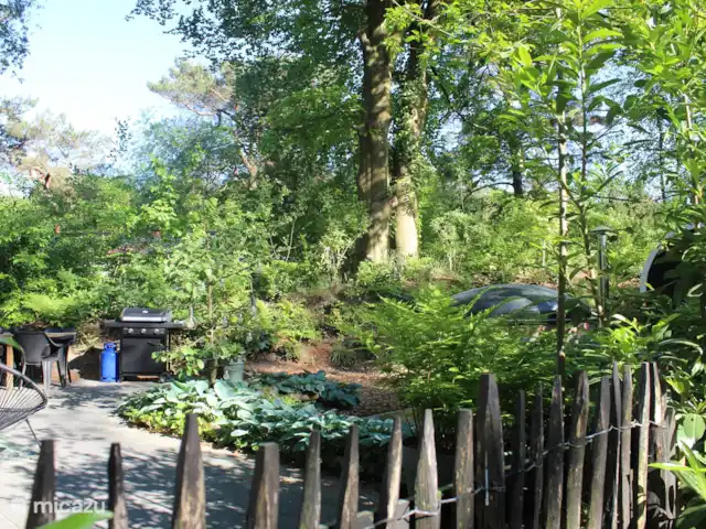 Chalet 4p en forêt avec sauna et bain à remous | Pays-Bas, Drenthe, Diever - chalet Joli jardin privé
