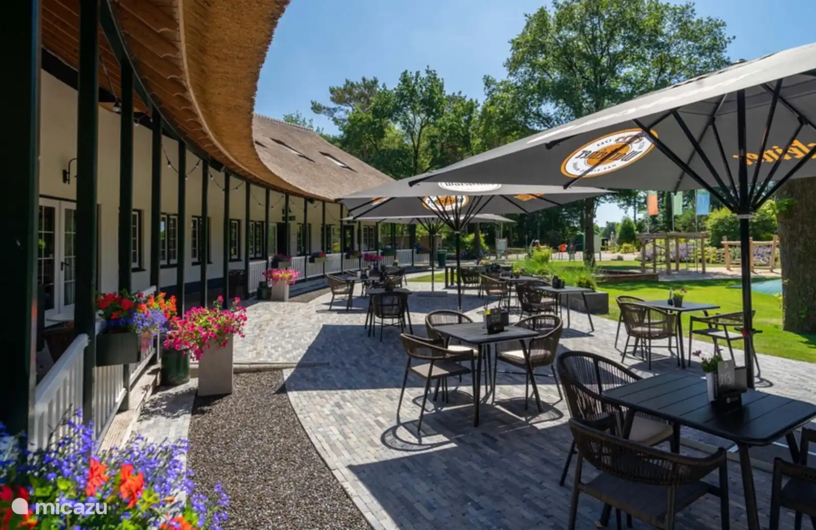 terrasse aux installations 