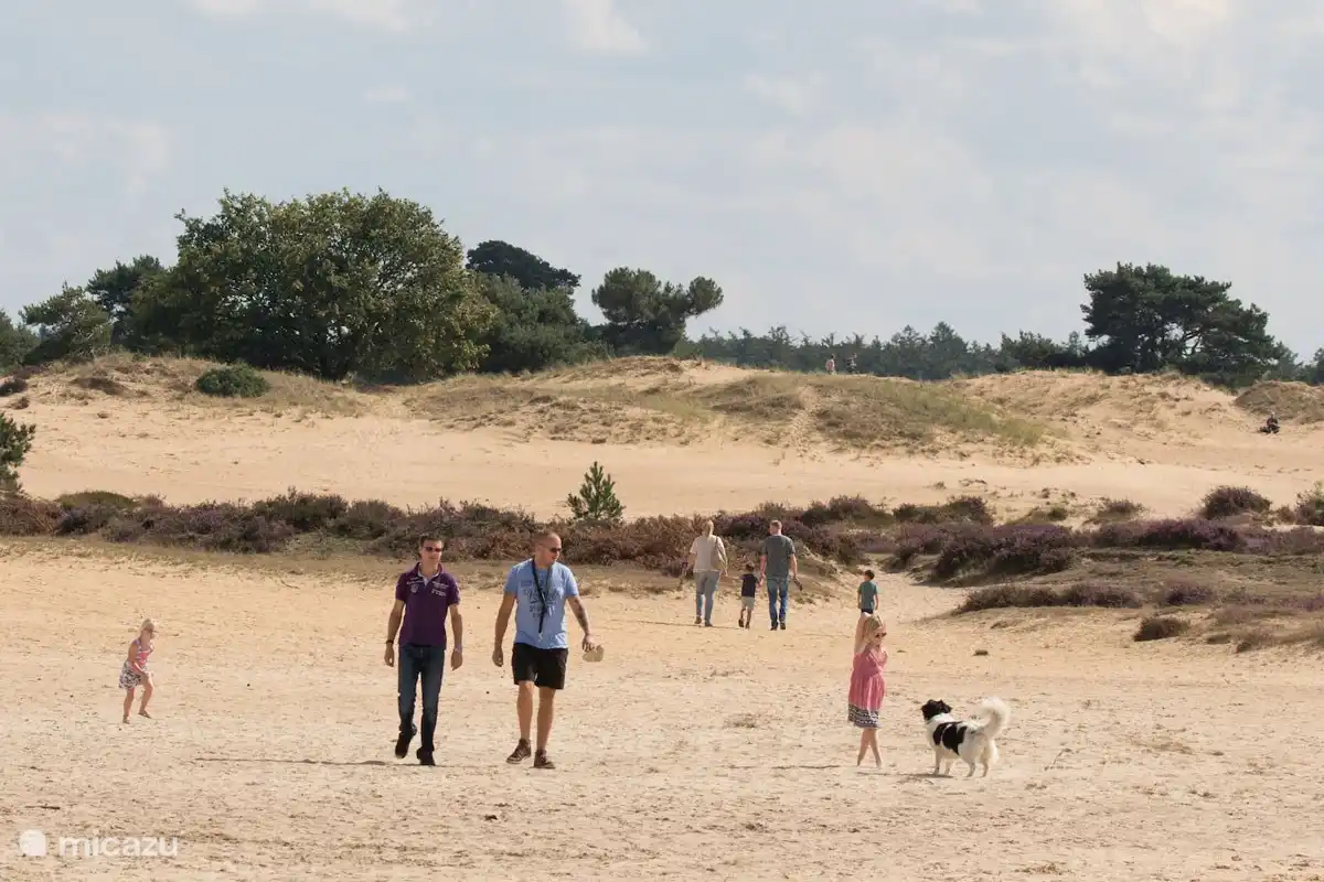 Réserve naturelle De Kale Duinen 