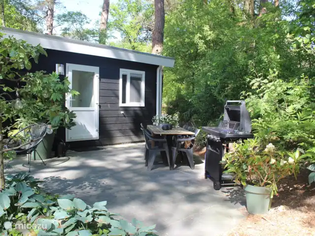 Chalet 4p en forêt avec sauna et bain à remous | Pays-Bas, Drenthe, Diever - chalet terrasse